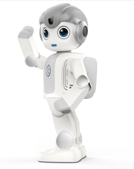 長(zhǎng)瑞機(jī)器人